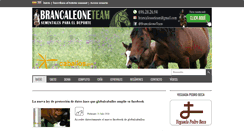 Desktop Screenshot of globalcaballos.com
